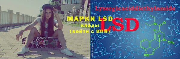 таблы Богородицк