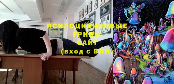 прущие крисы Бронницы