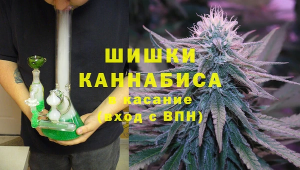 СК Богородск