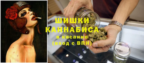 МДПВ Богданович