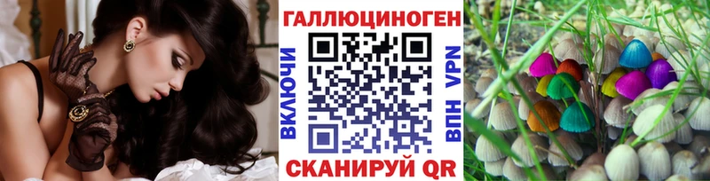 Галлюциногенные грибы Cubensis  ОМГ ОМГ вход  Городец 