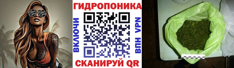 hydra онион  Городец  дарк нет какой сайт  Шишки марихуана план 